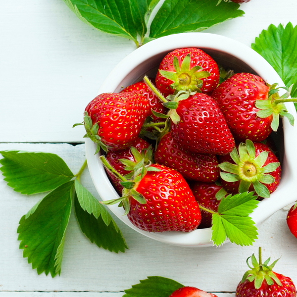 Searles How to grow strawberries